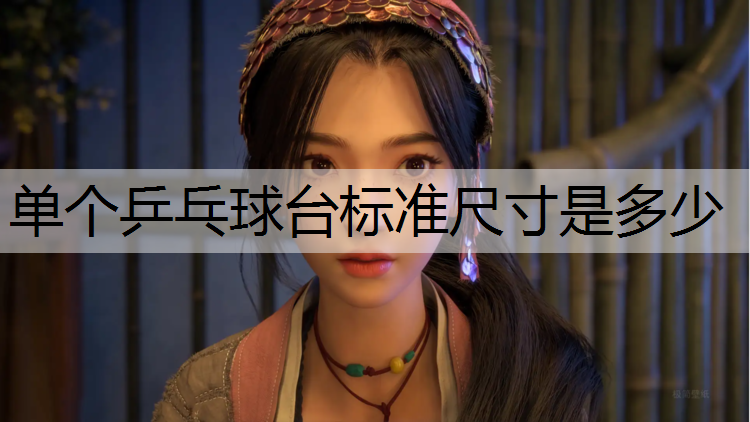 单个乒乓球台标准尺寸是多少