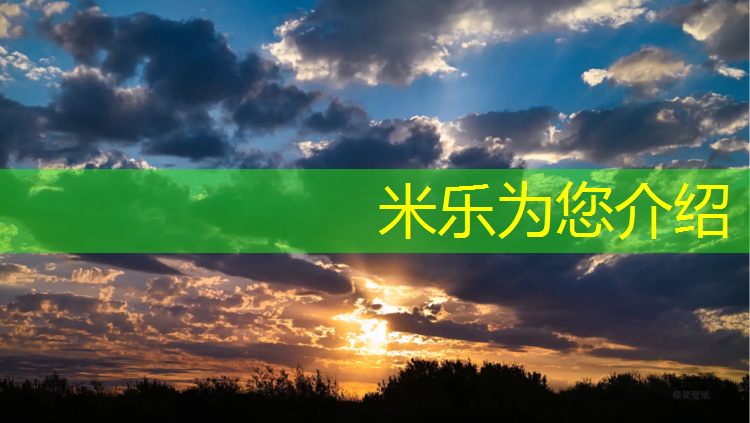 米乐m6官网登录入口：界首学校塑胶跑道