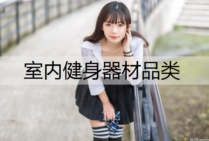 室内健身器材品类