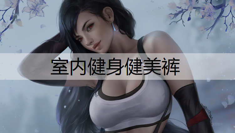 室内健身健美裤